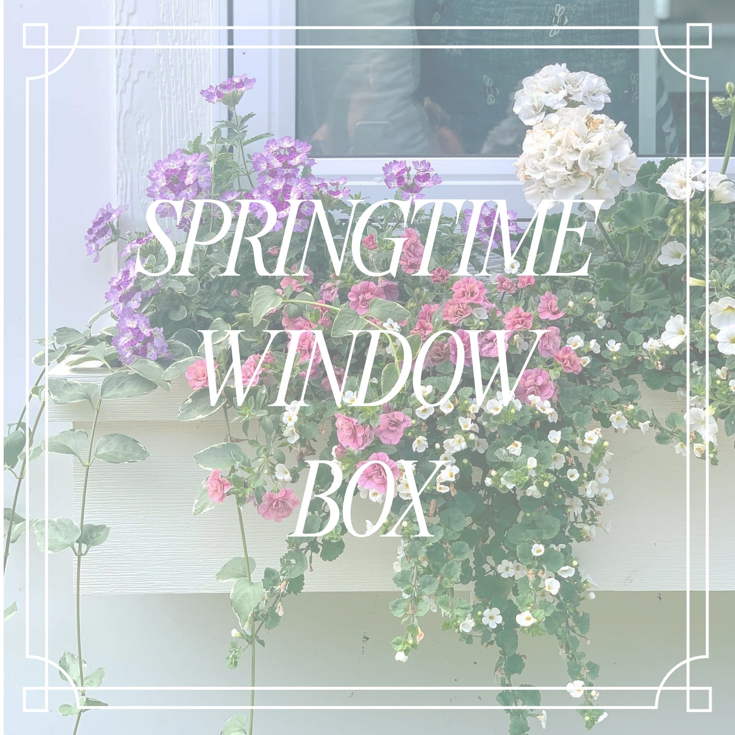 Springtime Window Box