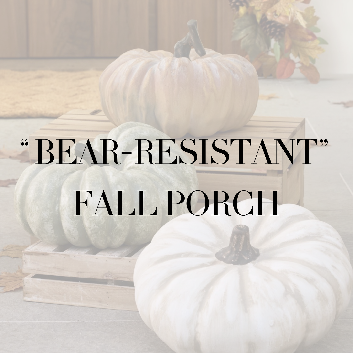 "BEAR-RESISTANT" FALL PORCH