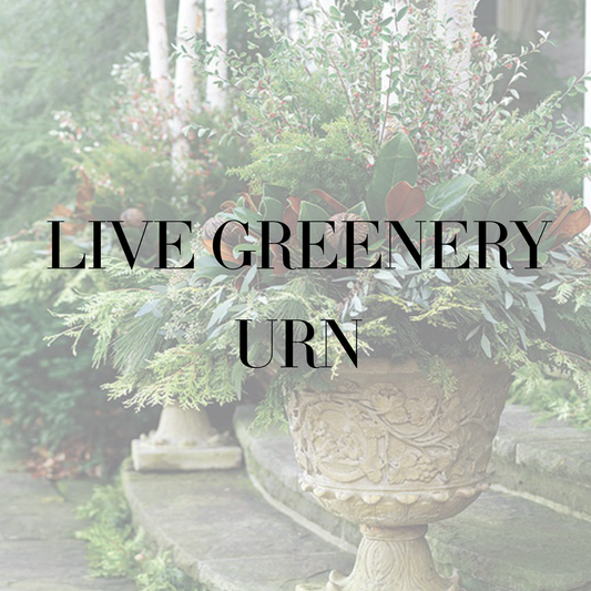 Christmas Live Greenery Urn