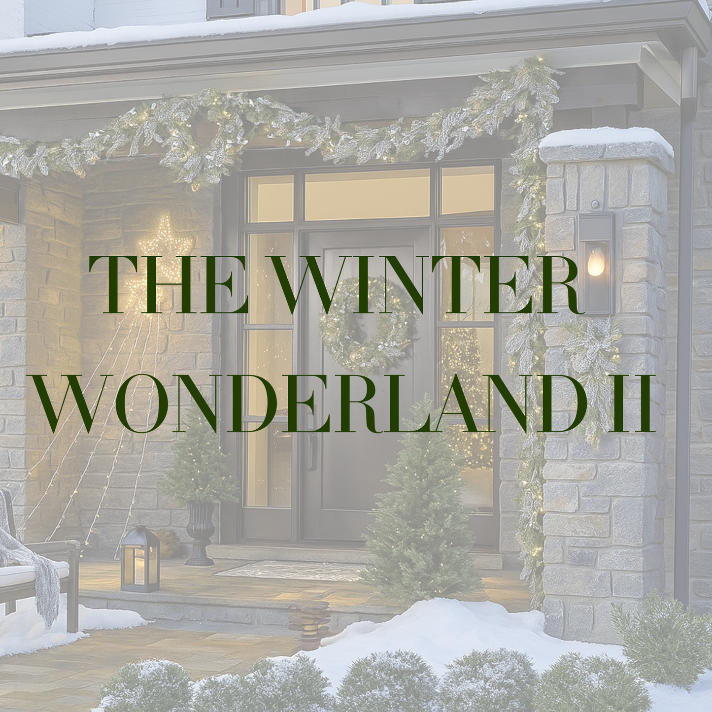 The Winter Wonderland II