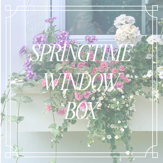 Springtime Window Box