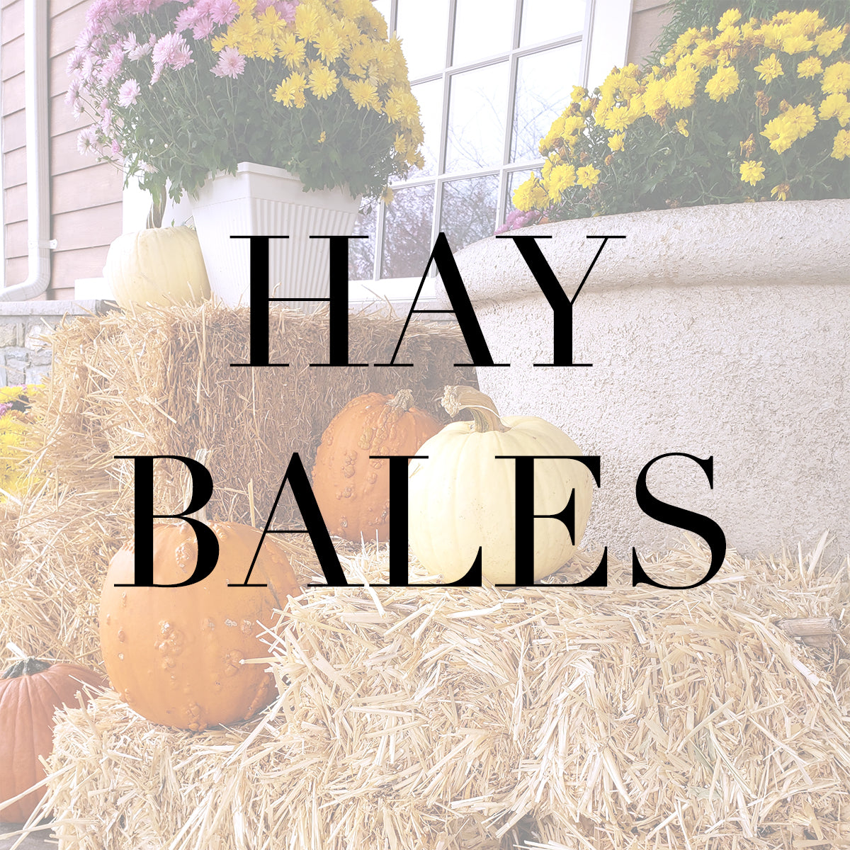 Hay Bales