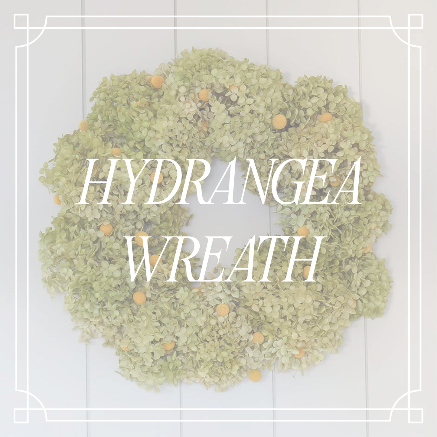 Hydrangea Wreath